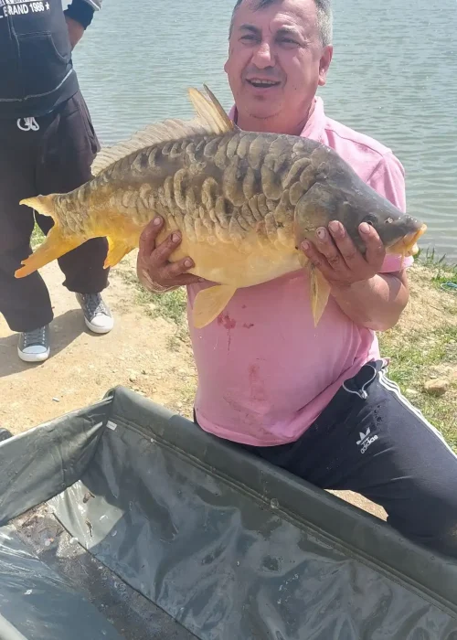 balta cateasca 1